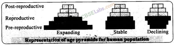 NCERT Exemplar Class 12 Biology Chapter 13 Organisms and Populations-10
