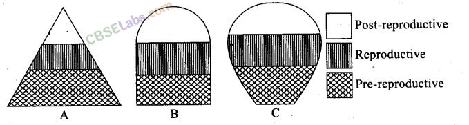 NCERT Exemplar Class 12 Biology Chapter 13 Organisms and Populations-11
