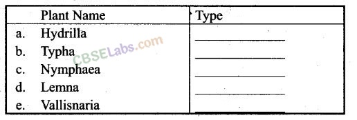 NCERT Exemplar Class 12 Biology Chapter 13 Organisms and Populations-4