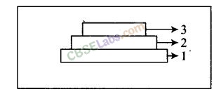 NCERT Exemplar Class 12 Biology Chapter 13 Organisms and Populations-5