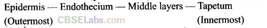 NCERT-Exemplar-Class-12-Biology-Chapter-2-Sexual-Reproduction-in-Flowering-Plants-1-1