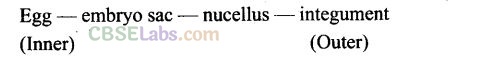 Sexual Reproduction In Flowering Plants NCERT Exemplar