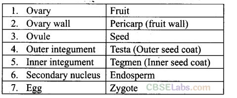 NCERT Exemplar Class 12 Biology Solutions Chapter 2
