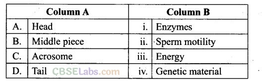 Human Reproduction NCERT Exemplar Class 12