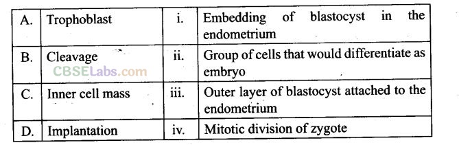 Human Reproduction Class 12 NCERT Exemplar