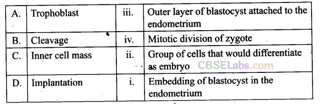 Human Reproduction Exemplar Class 12
