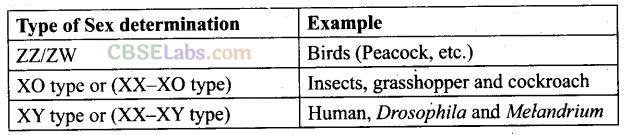 NCERT Exemplar Principles Of Inheritance And Variation Class 12