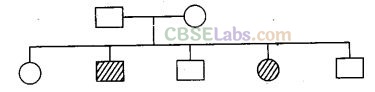 NCERT Exemplar Class 12 Biology Solutions Chapter 5