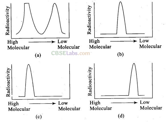 Molecular Basis Of Inheritance Exemplar Class 12