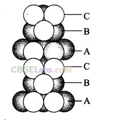 NCERT Exemplar Class 12 Chemistry Chapter 1 Solid State-31
