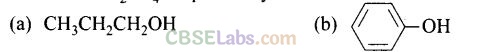 NCERT Exemplar Class 12 Chemistry Chapter 10 Haloalkanes and Haloarenes-28