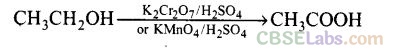 NCERT Exemplar Class 12 Chemistry Chapter 11 Alcohols, Phenols and Ethers-13