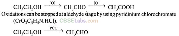 Alcohol Phenol And Ether NCERT Exemplar Class 12
