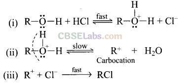 NCERT Exemplar Class 12 Chemistry Chapter 11 Alcohols, Phenols and Ethers-25