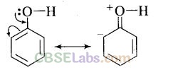 NCERT Exemplar Class 12 Chemistry Chapter 11 Alcohols, Phenols and Ethers-29