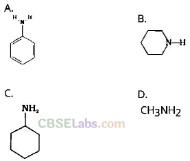 NCERT Exemplar Class 12 Chemistry Chapter 13 Amines-2