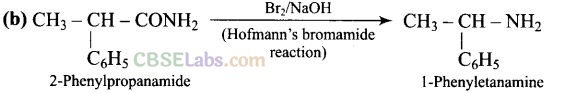 NCERT Exemplar Class 12 Chemistry Chapter 13 Amines-10