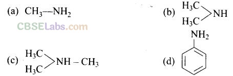 NCERT Exemplar Class 12 Chemistry Chapter 13 Amines-18