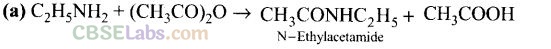 NCERT Exemplar Class 12 Chemistry Chapter 13 Amines-19