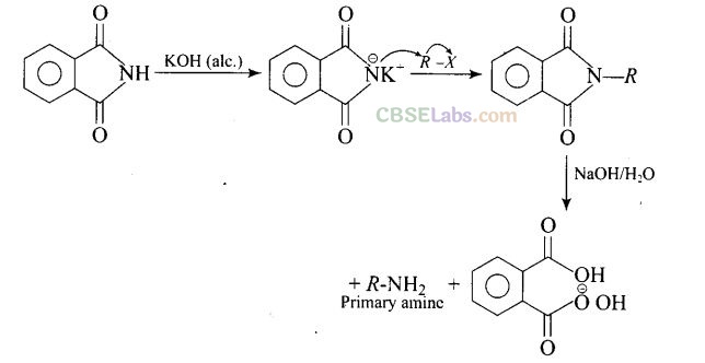 NCERT Exemplar Class 12 Chemistry Chapter 13 Amines-22