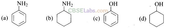 NCERT Exemplar Class 12 Chemistry Chapter 13 Amines-23