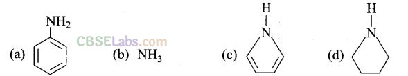 NCERT Exemplar Class 12 Chemistry Chapter 13 Amines-24