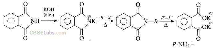 NCERT Exemplar Class 12 Chemistry Chapter 13 Amines-28