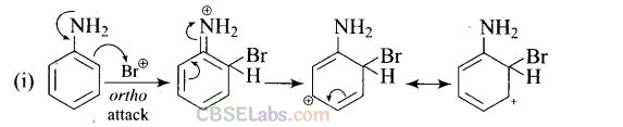 NCERT Exemplar Class 12 Chemistry Chapter 13 Amines-34