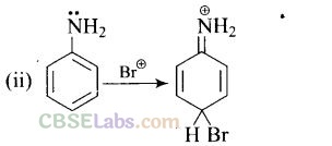 NCERT Exemplar Class 12 Chemistry Chapter 13 Amines-35