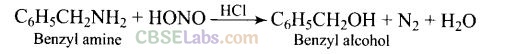 NCERT Exemplar Class 12 Chemistry Chapter 13 Amines-41