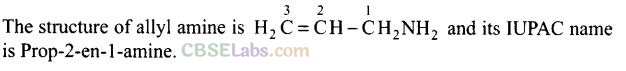 NCERT Exemplar Class 12 Chemistry Chapter 13 Amines-47