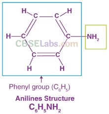 NCERT Exemplar Class 12 Chemistry Chapter 13 Amines-3