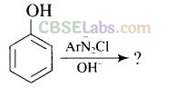 NCERT Exemplar Class 12 Chemistry Chapter 13 Amines-51