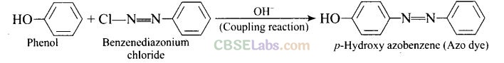 NCERT Exemplar Class 12 Chemistry Chapter 13 Amines-52