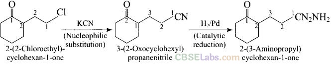 NCERT Exemplar Class 12 Chemistry Chapter 13 Amines-57