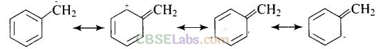 NCERT Exemplar Class 12 Chemistry Chapter 13 Amines-4