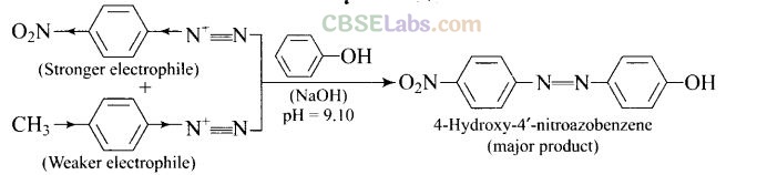 NCERT Exemplar Class 12 Chemistry Chapter 13 Amines-60