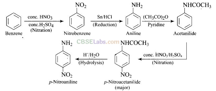 NCERT Exemplar Class 12 Chemistry Chapter 13 Amines-64