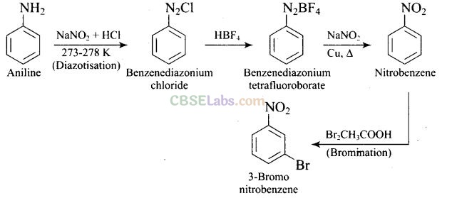 NCERT Exemplar Class 12 Chemistry Chapter 13 Amines-66