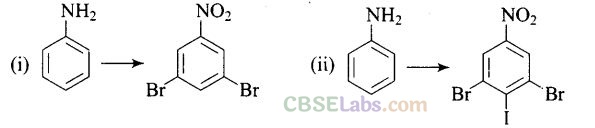 NCERT Exemplar Class 12 Chemistry Chapter 13 Amines-67