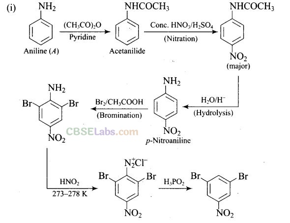 NCERT Exemplar Class 12 Chemistry Chapter 13 Amines-68