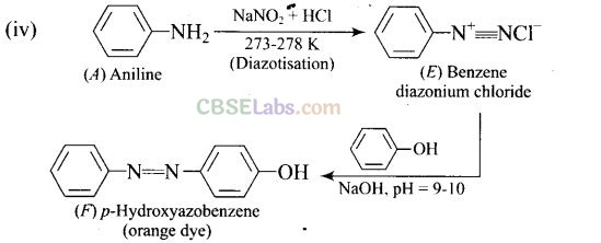 NCERT Exemplar Class 12 Chemistry Chapter 13 Amines-78