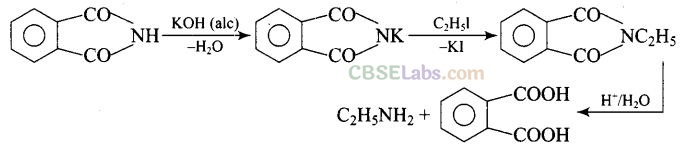 NCERT Exemplar Class 12 Chemistry Chapter 13 Amines-7