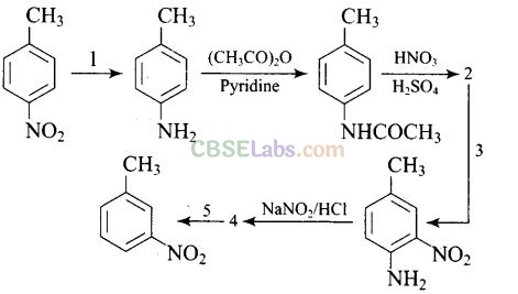 NCERT Exemplar Class 12 Chemistry Chapter 13 Amines-79