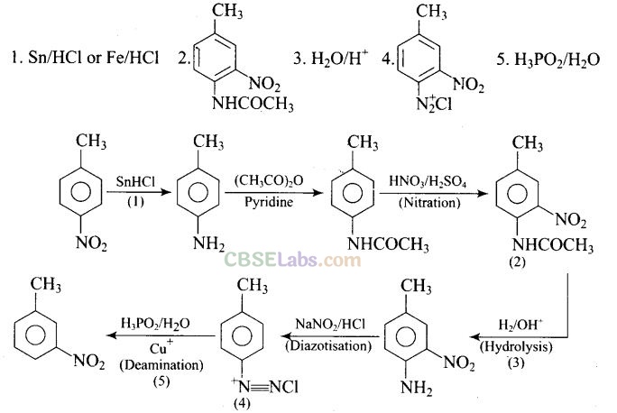 NCERT Exemplar Class 12 Chemistry Chapter 13 Amines-80