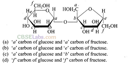 NCERT Exemplar Of Biomolecules Class 12