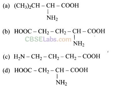 Biomolecules Class 12 Exemplar Solutions