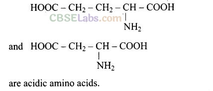Exemplar Biomolecules Class 12
