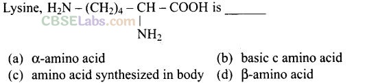 Biomolecules Exemplar Solutions Class 12