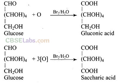 Biomolecules NCERT Exemplar Pdf Class 12